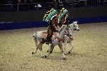 Quadrille - 00246